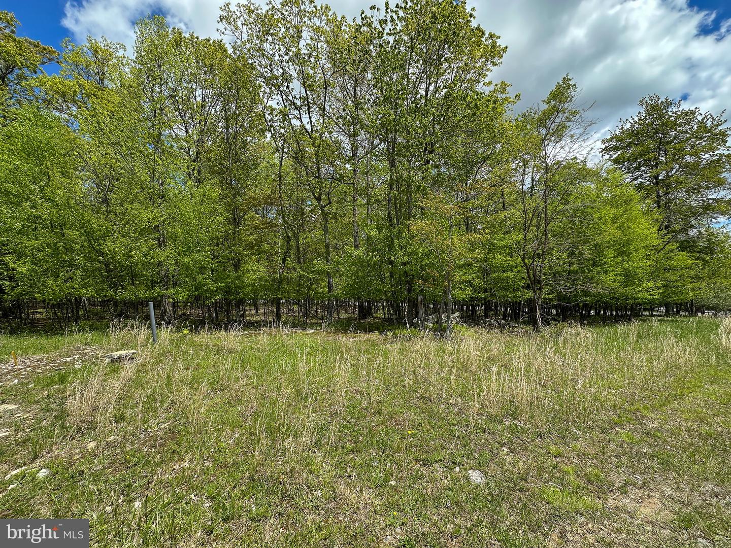 Lot 100 Snowhaven Lane Property Photo 14