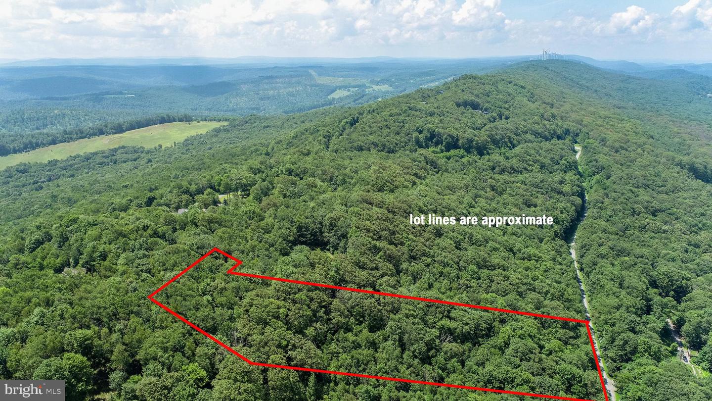 Lot 7 Backbone Ridge Rd Property Photo 1