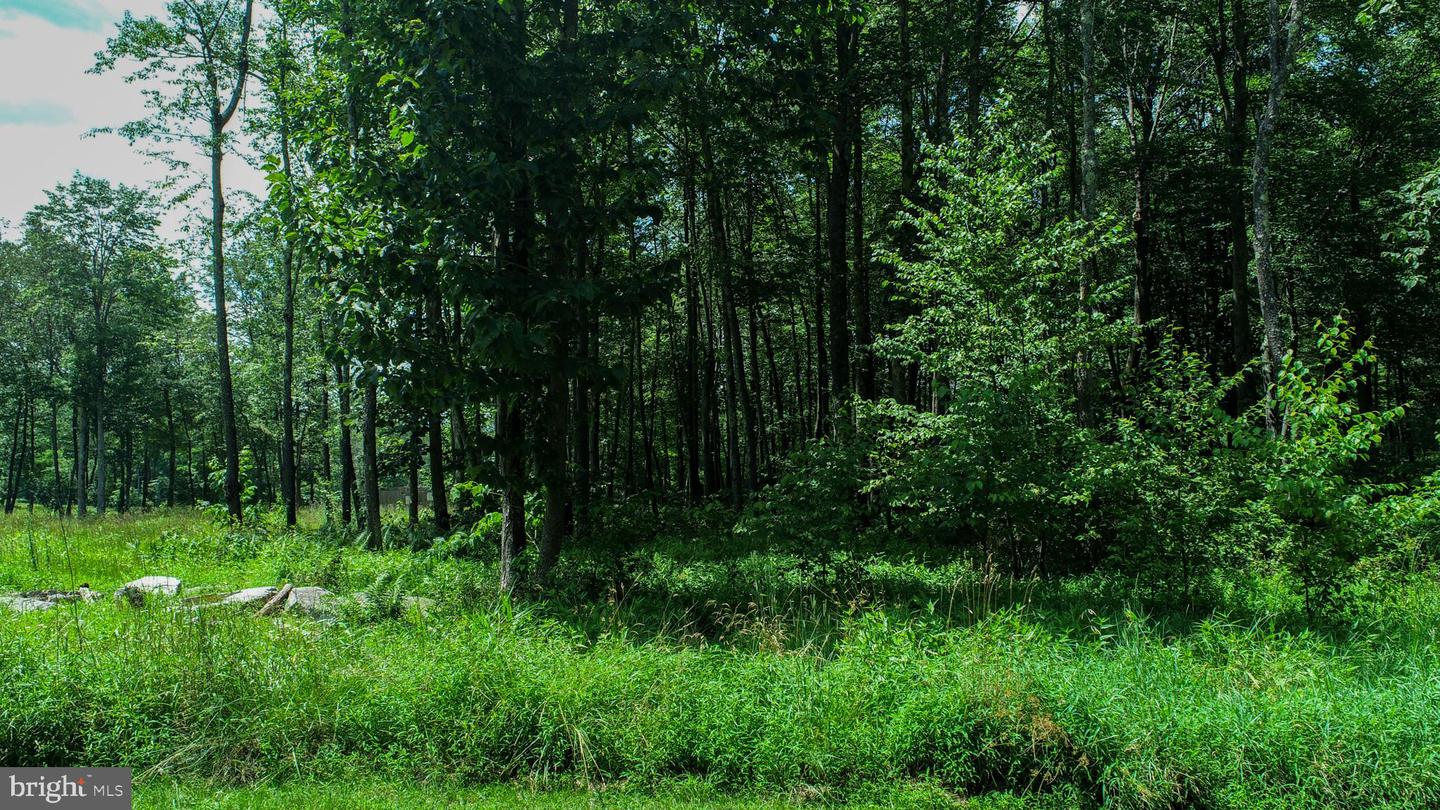 Lot 122 Fair Way Property Photo 5