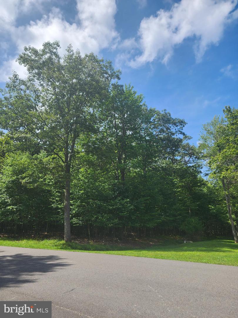 LOT 53 MOUNTAINVIEW DR Property Photo 1