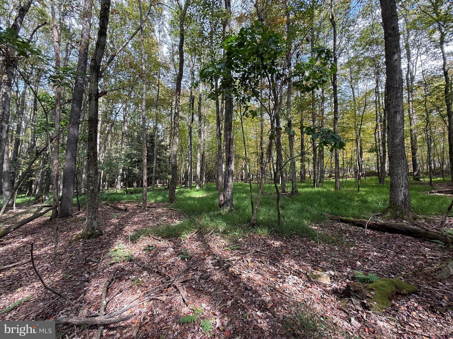 0 Lake Shore Drive Property Photo 16