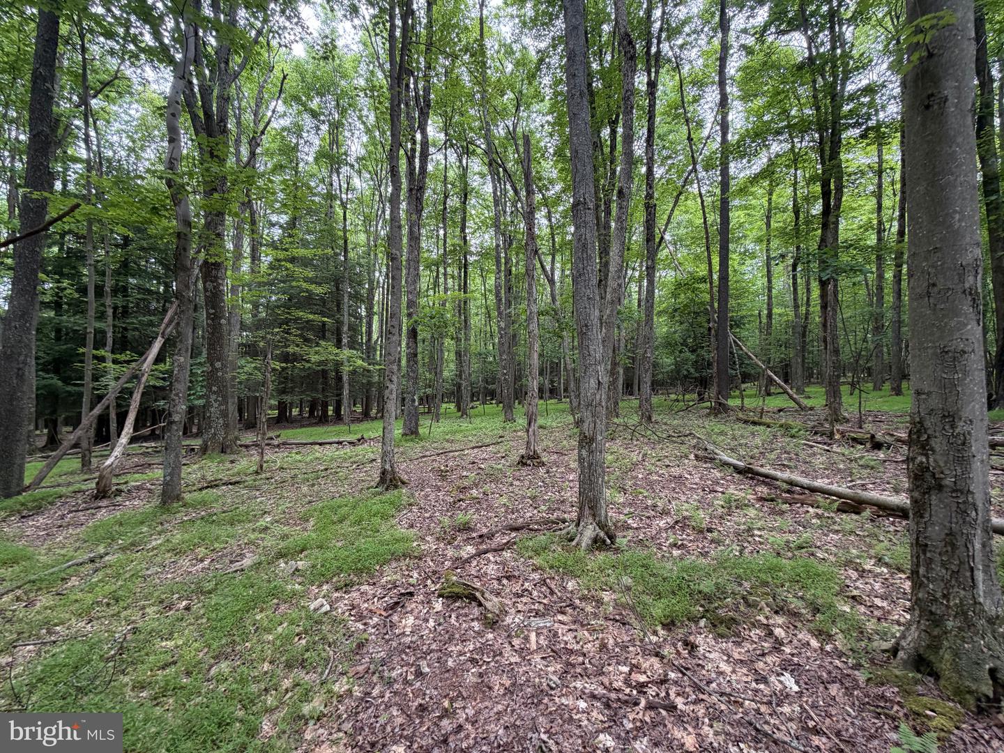 0 Lake Shore Drive Property Photo 28