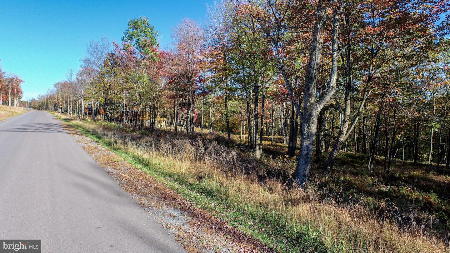 157 Fork Run Trl Property Photo 4