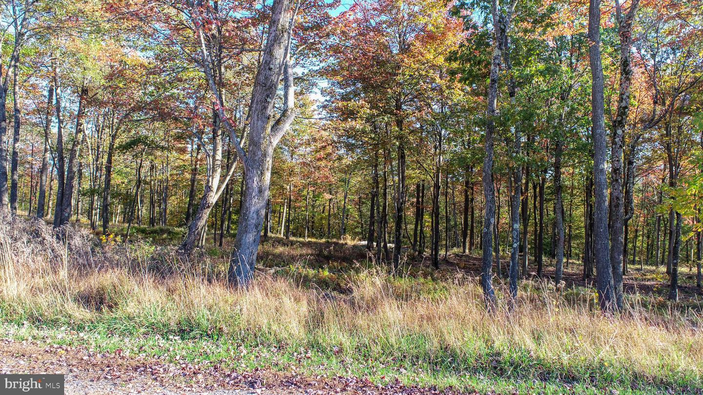 157 Fork Run Trl Property Photo 5