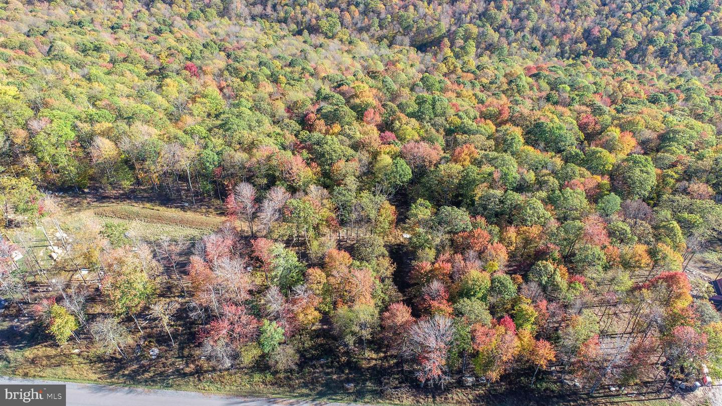 157 Fork Run Trl Property Photo 6