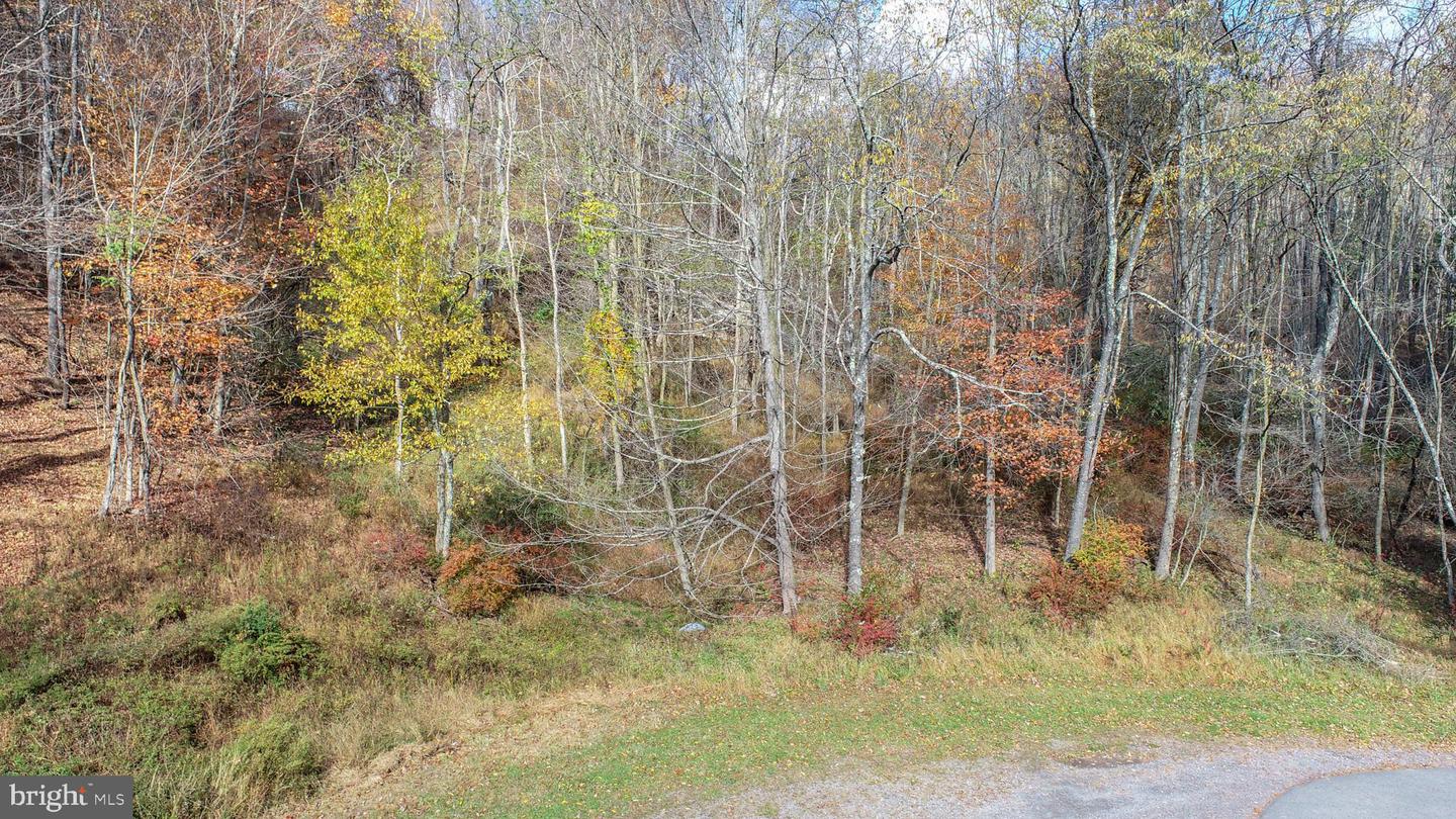 Lot 18 Laurel Ct Property Photo 9