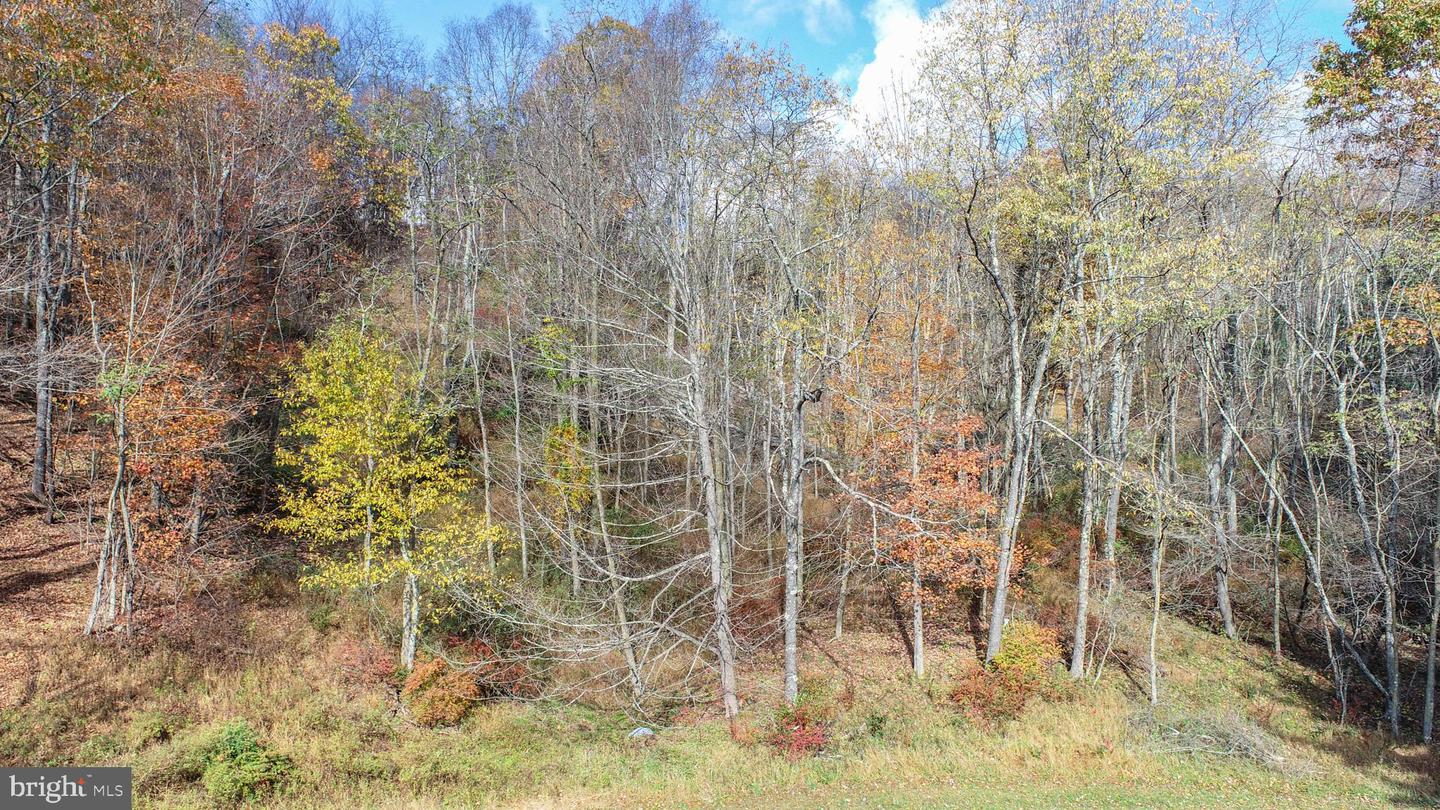 Lot 18 Laurel Ct Property Photo 10