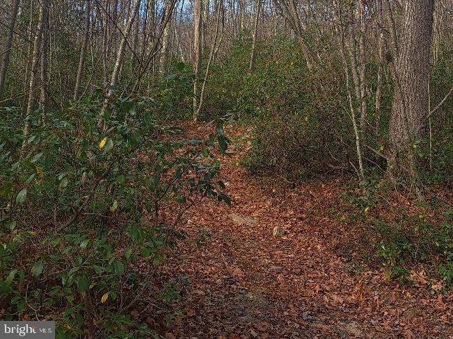 FOX TAIL RD Property Photo 1