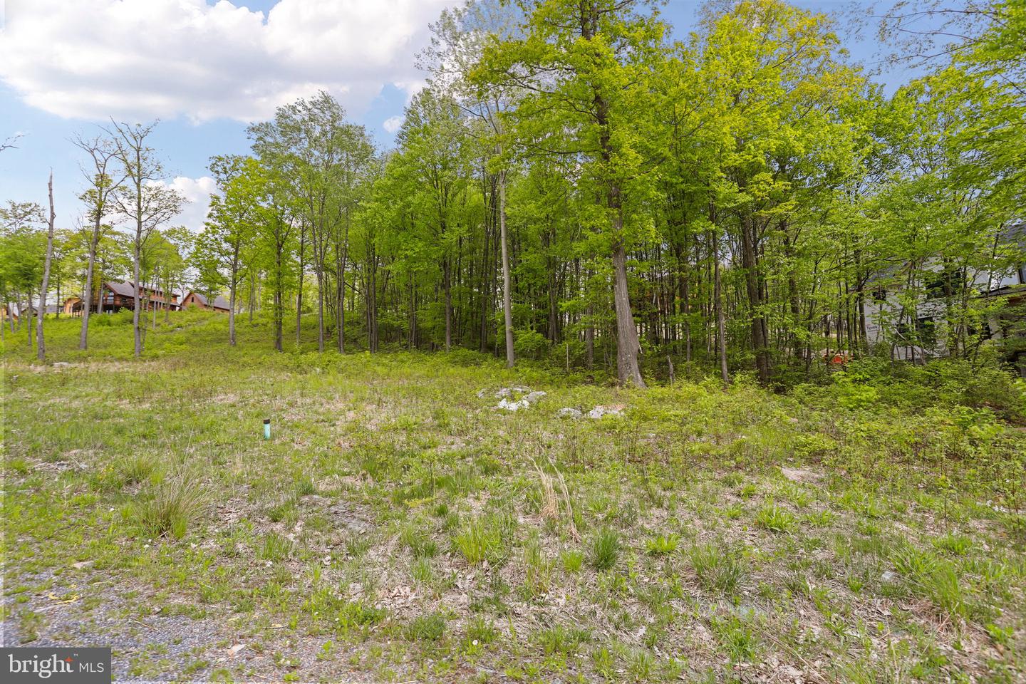 Lot 68 North Camp Rd Property Photo 4