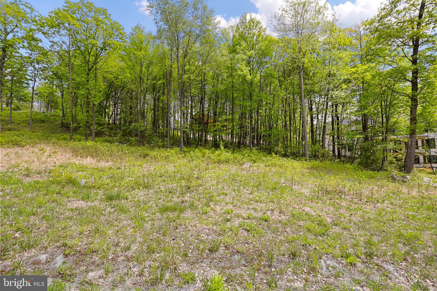 Lot 68 North Camp Rd Property Photo 5