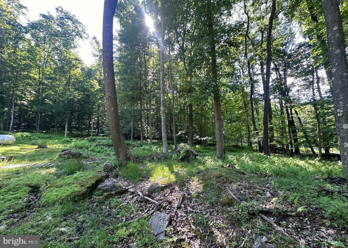 98 Bear Run Rd Property Photo 8