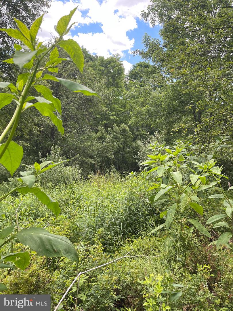 Wes Mountain Trl Property Photo 3