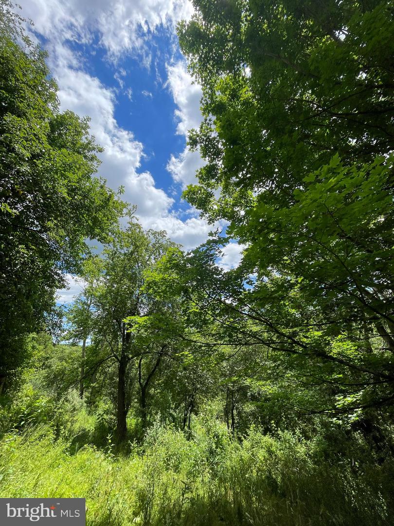 Wes Mountain Trl Property Photo 10