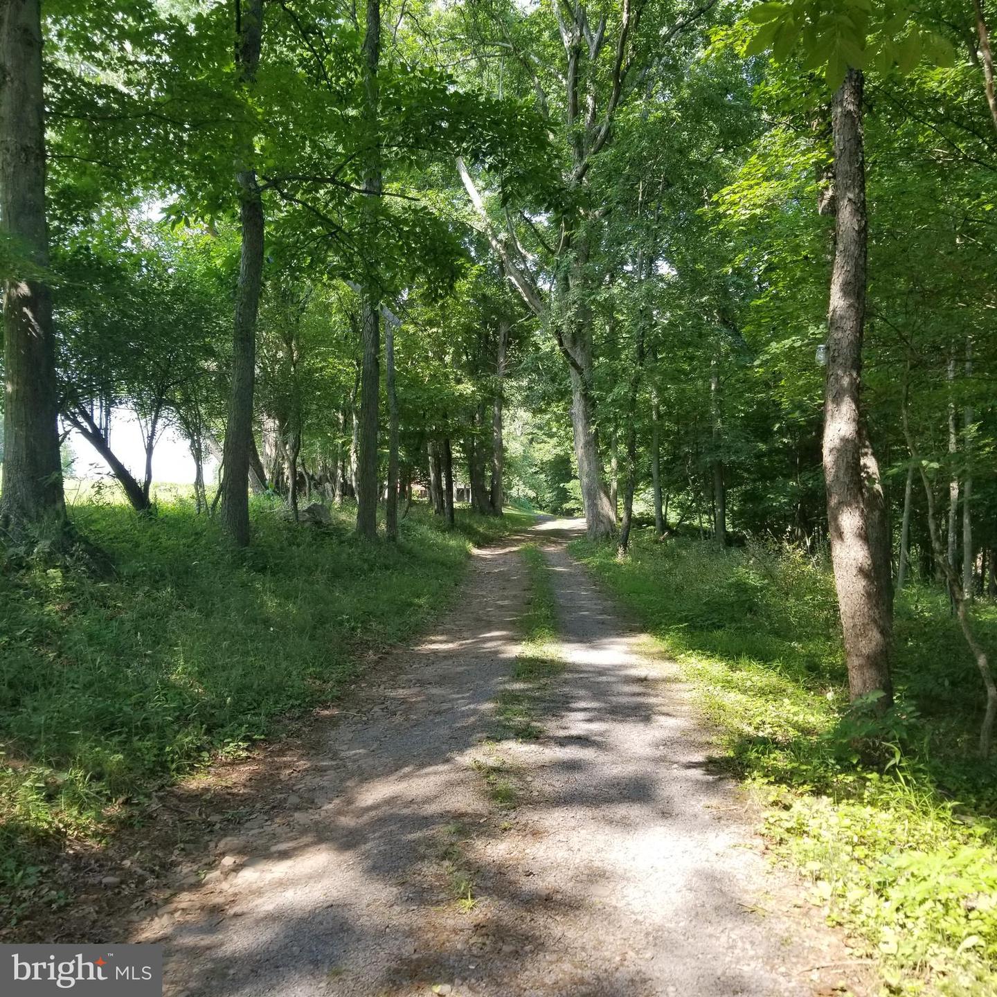 Wes Mountain Trl Property Photo 18