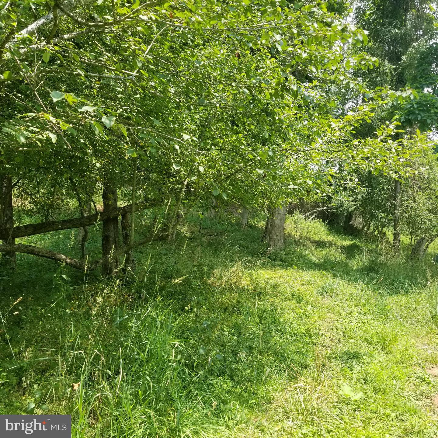 Wes Mountain Trl Property Photo 27