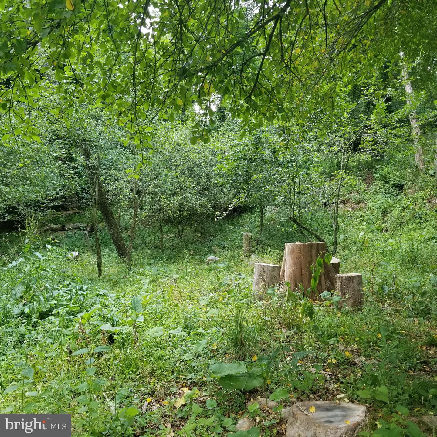 Wes Mountain Trl Property Photo 30