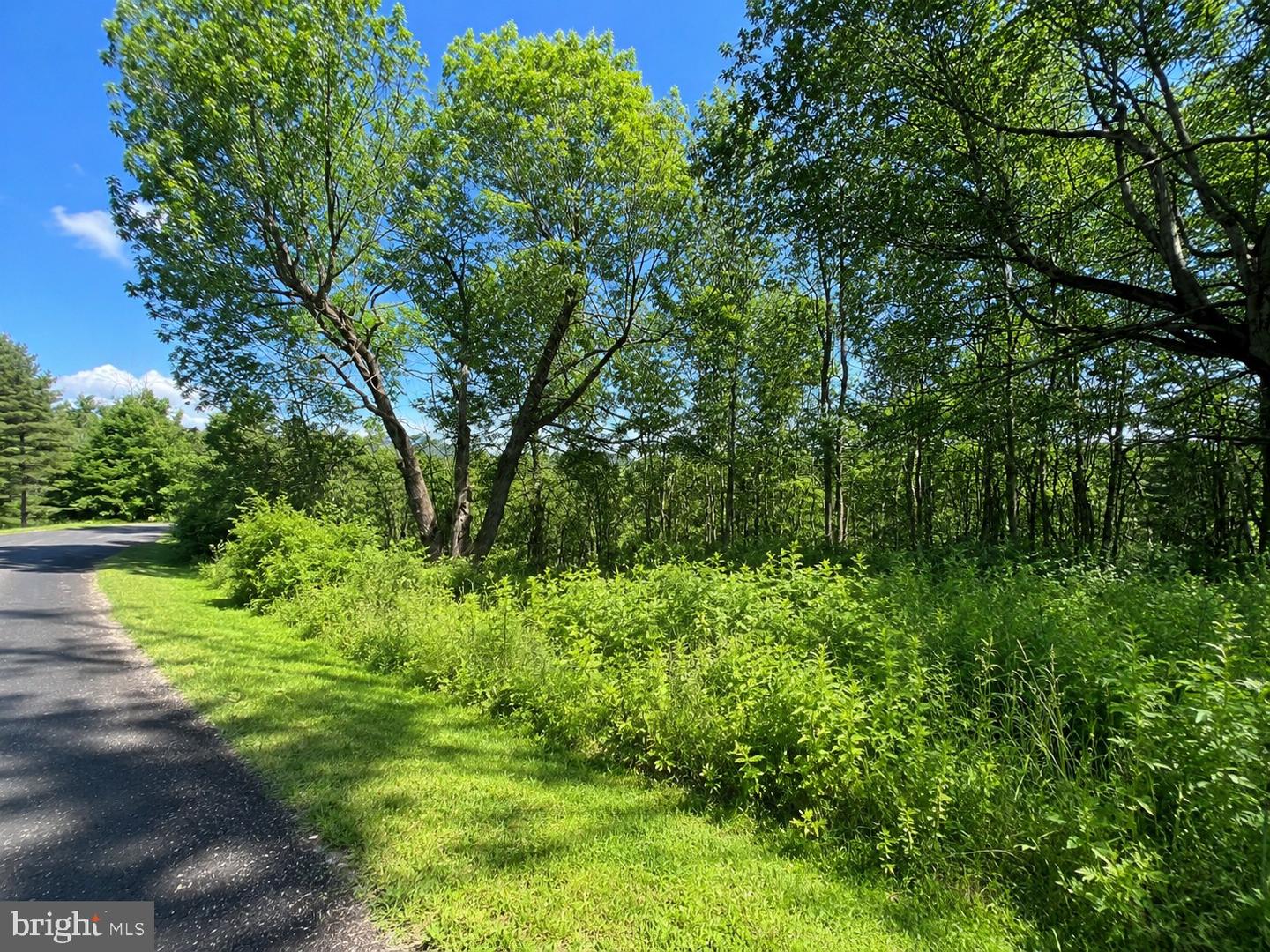 Lot 20 Paradise Ridge Rd Property Photo 5