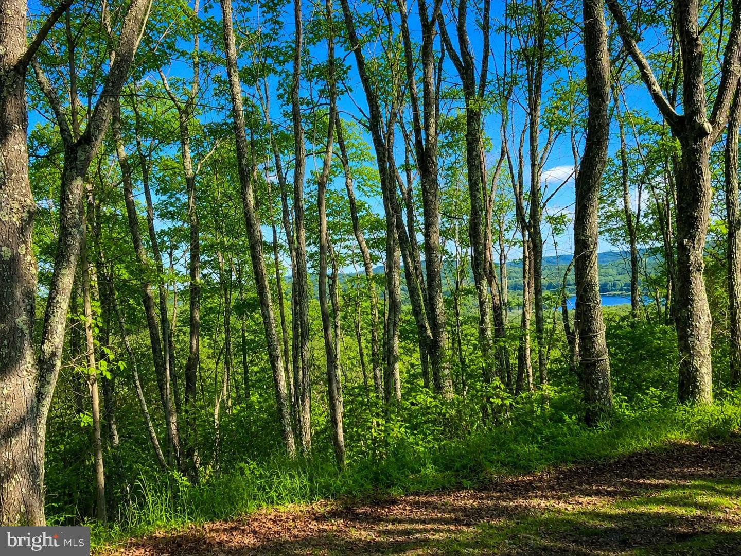 Lot 20 Paradise Ridge Rd Property Photo 6