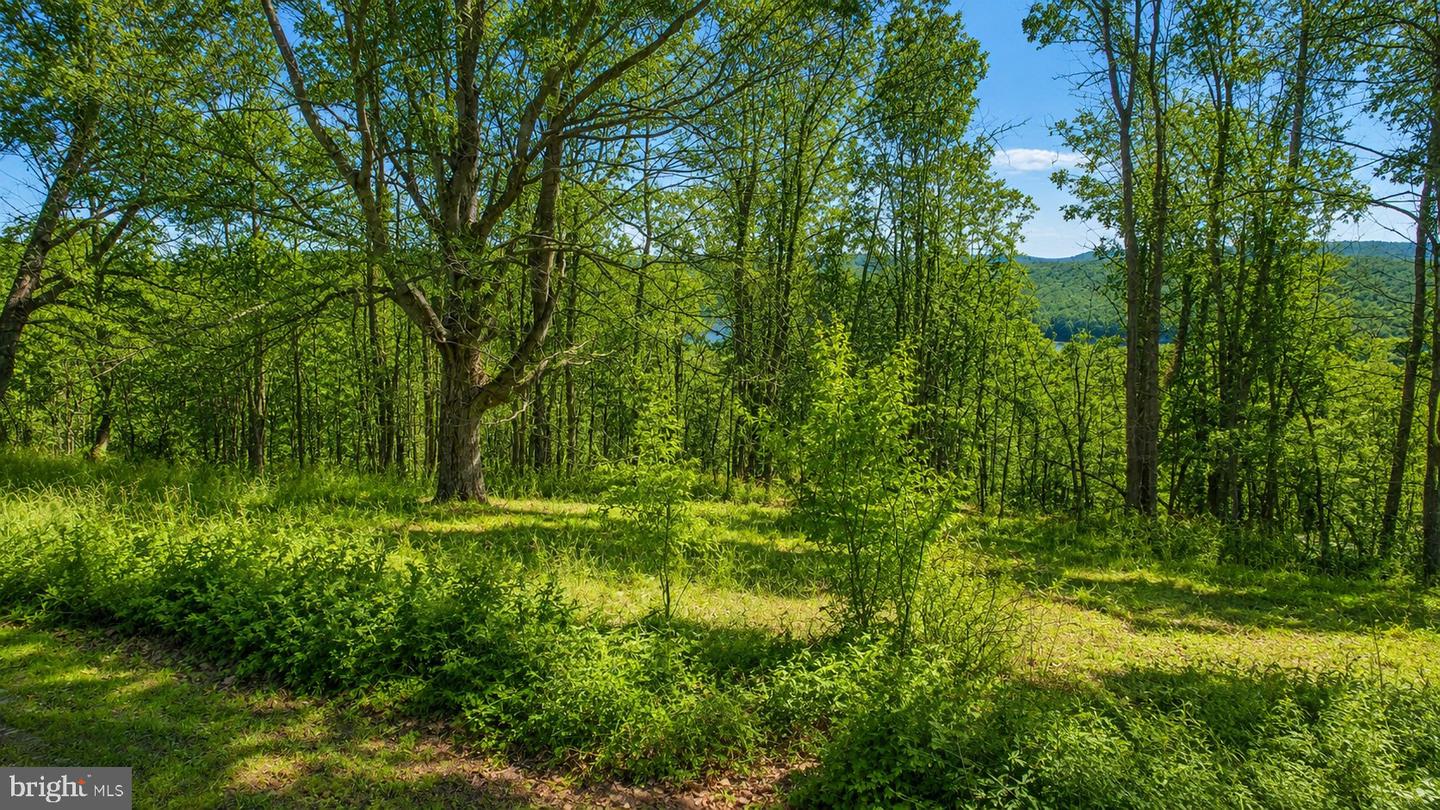 Lot 20 Paradise Ridge Rd Property Photo 7