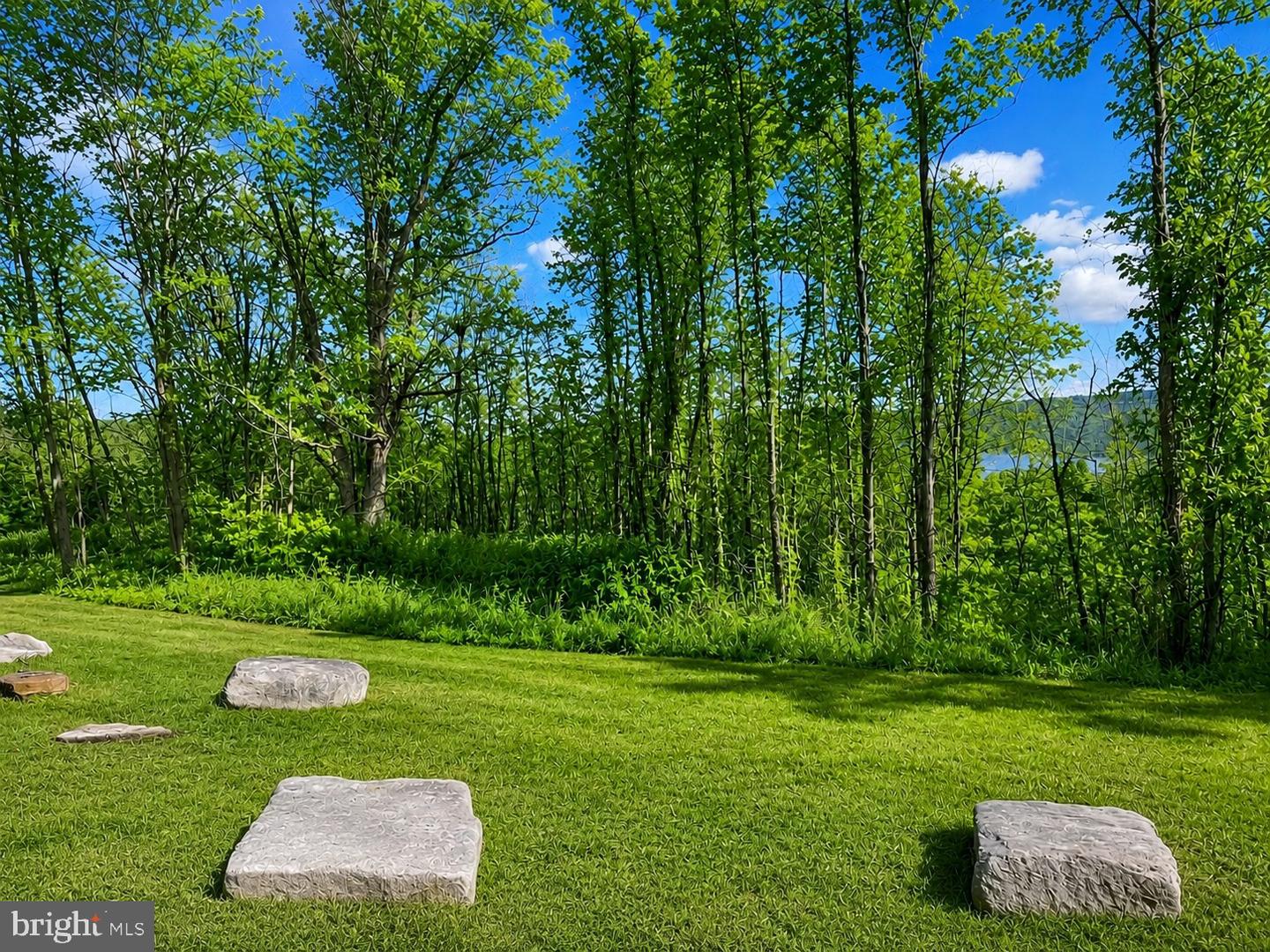 Lot 20 Paradise Ridge Rd Property Photo 9