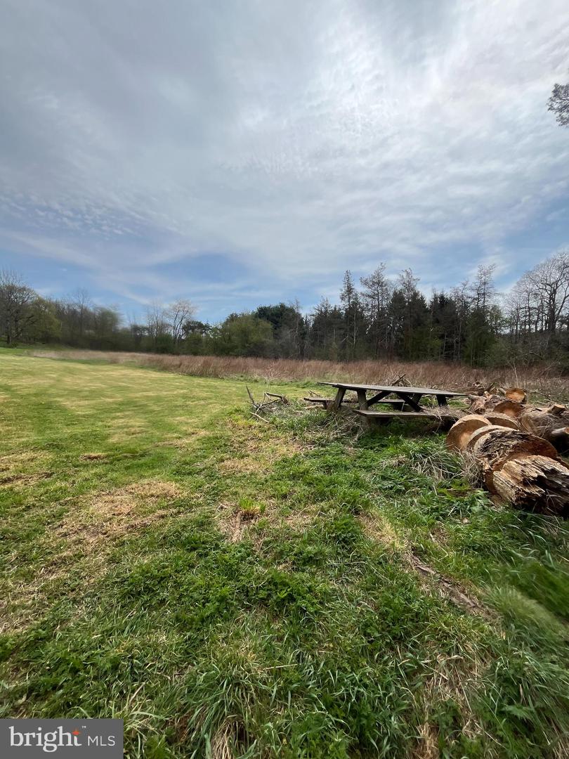 107 Shade Hollow Rd Property Photo 49