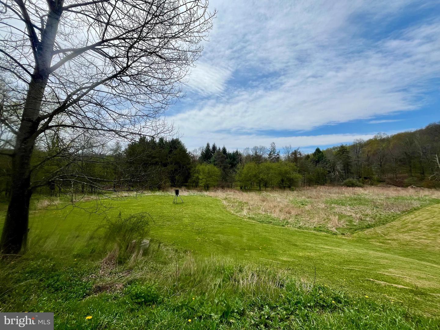 107 Shade Hollow Rd Property Photo 53