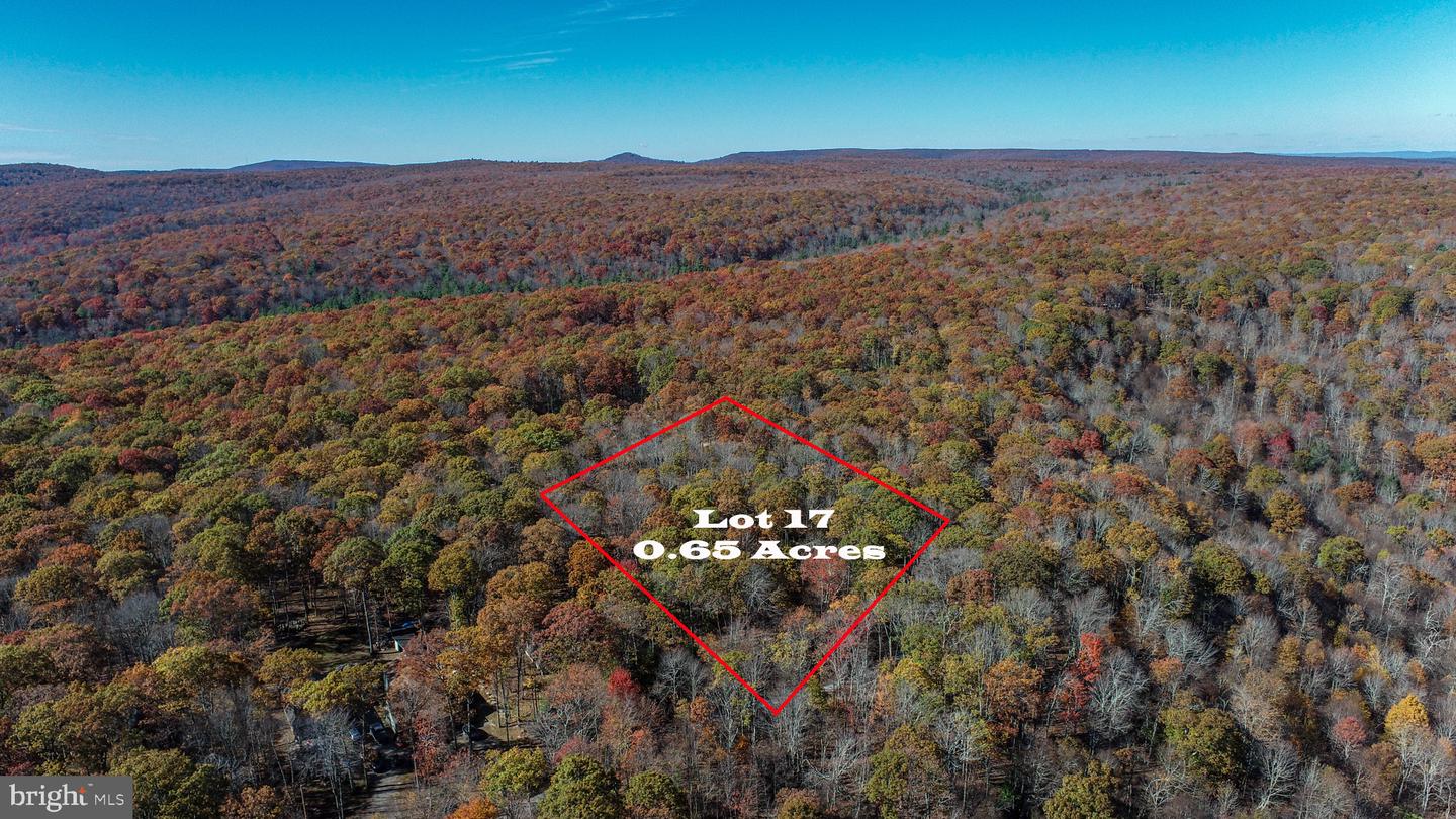 LOT 17 BIRCHWOOD DR Property Photo 1