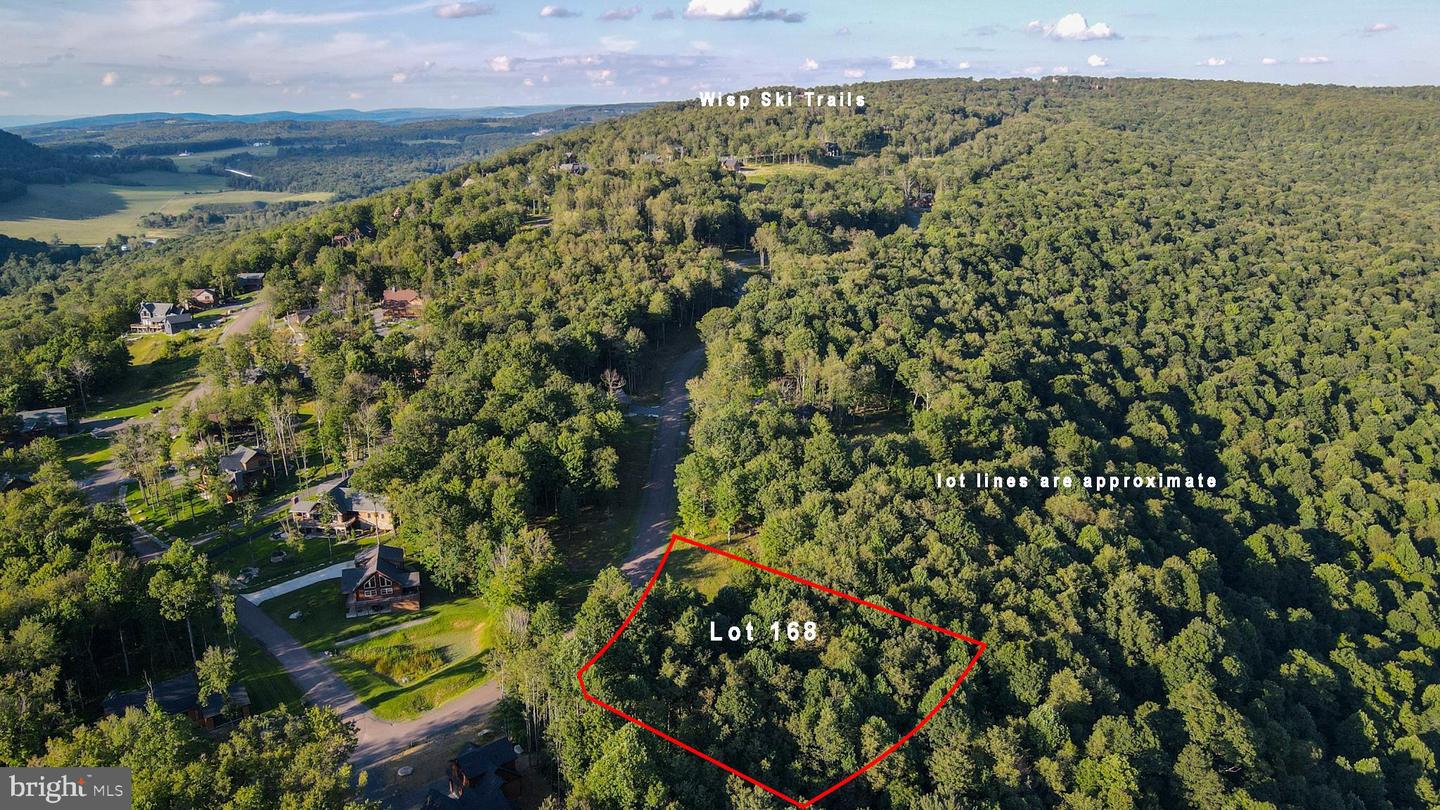 Lot 168 Fork Run Trl Property Photo 1