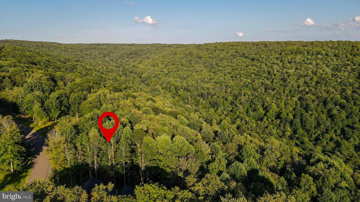 Lot 168 Fork Run Trl Property Photo 2