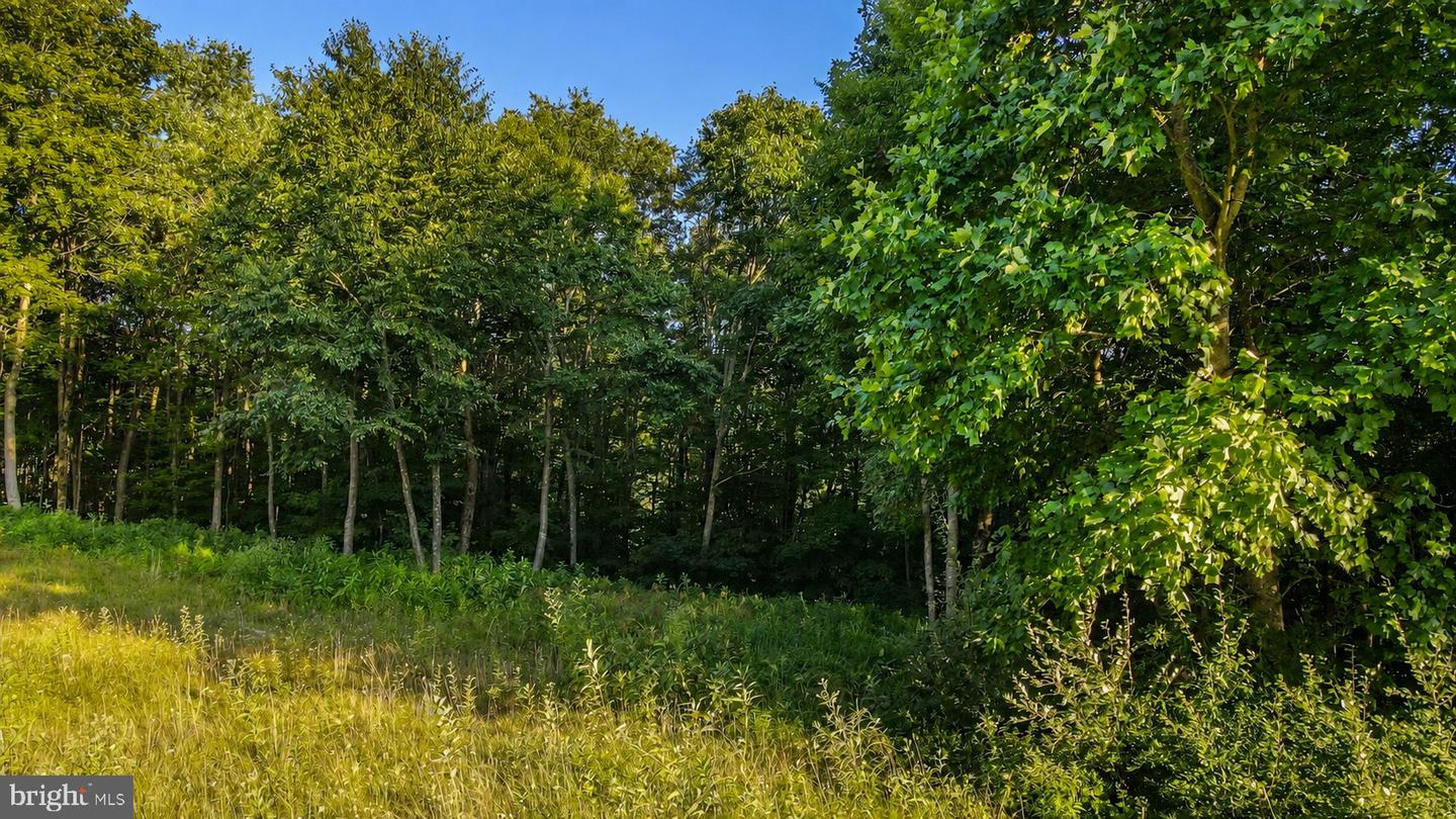 Lot 168 Fork Run Trl Property Photo 3