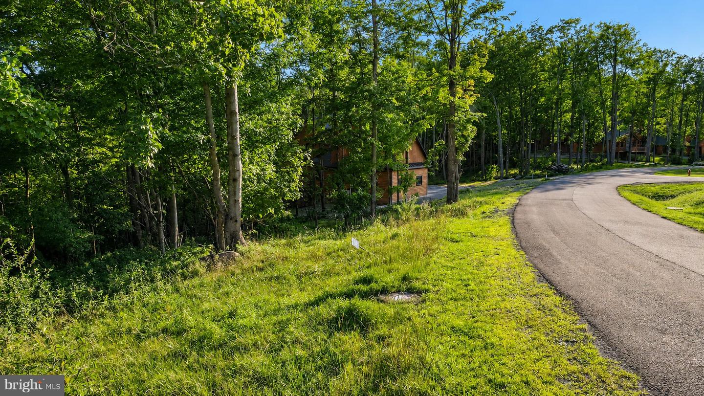 Lot 168 Fork Run Trl Property Photo 4