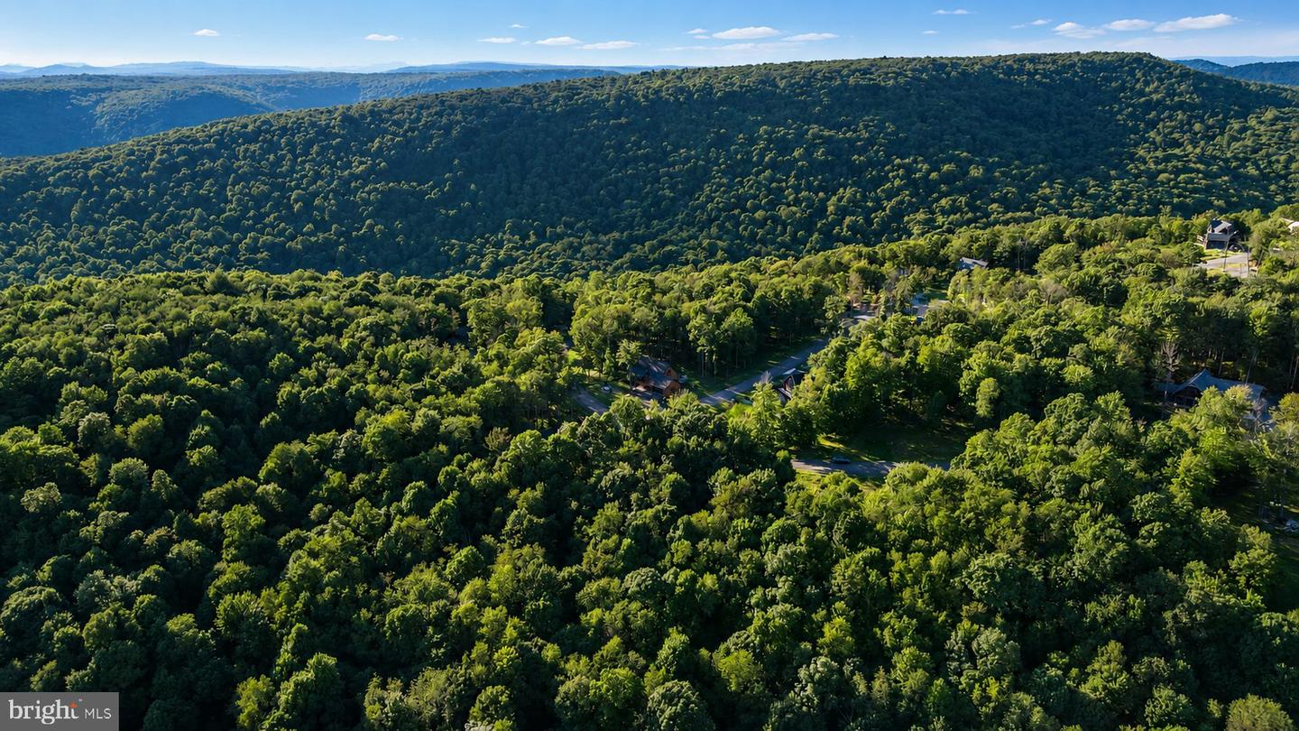 Lot 168 Fork Run Trl Property Photo 11