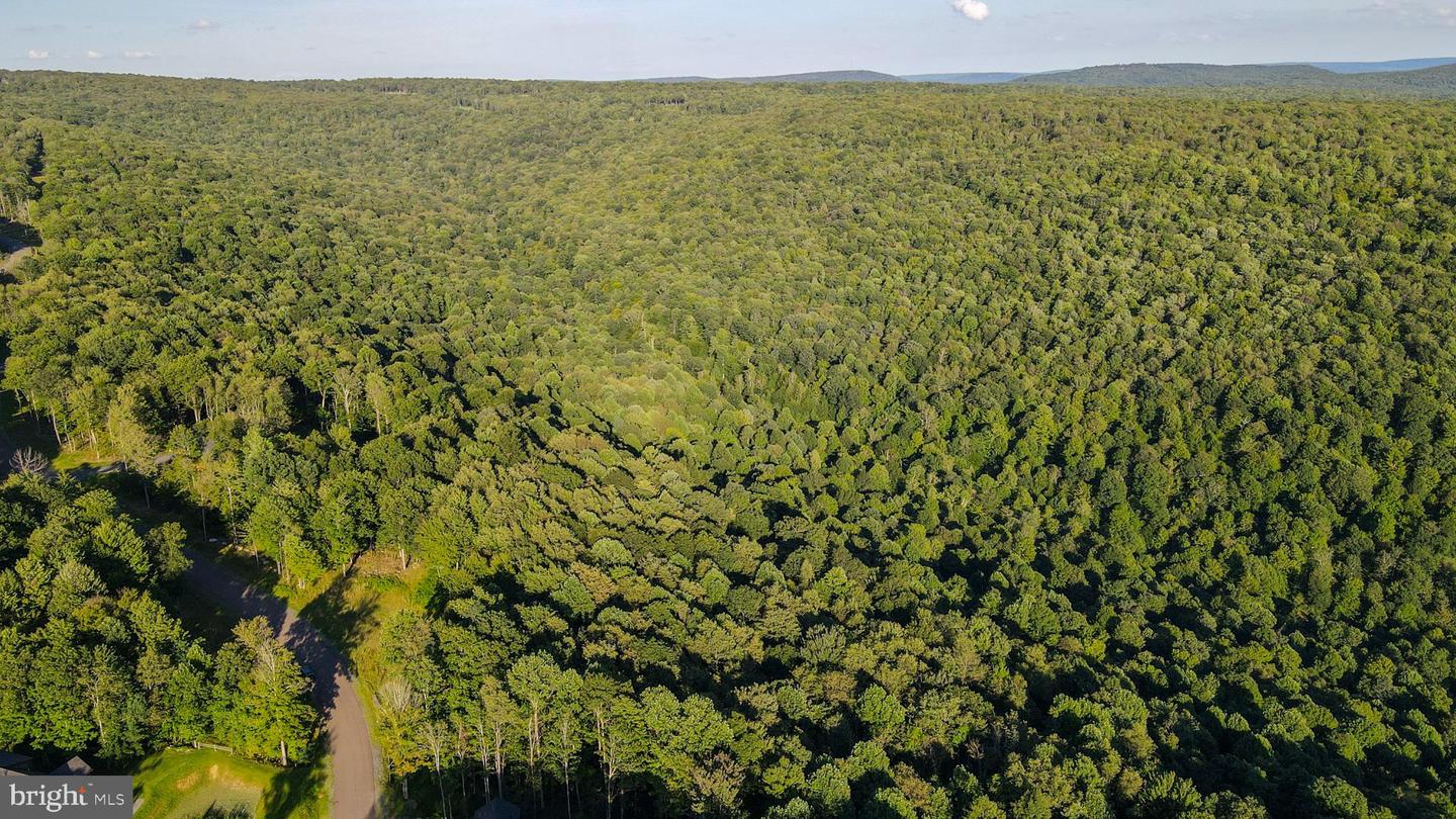 Lot 168 Fork Run Trl Property Photo 14