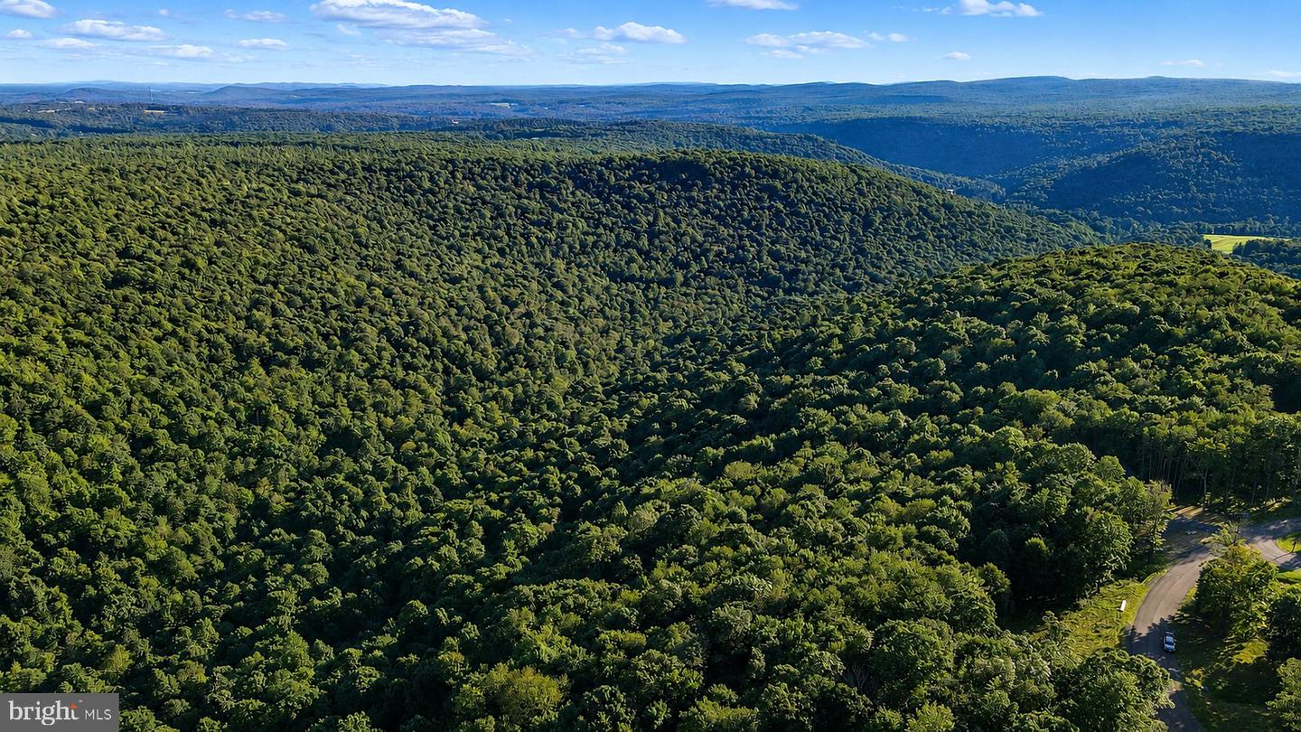 Lot 168 Fork Run Trl Property Photo 17