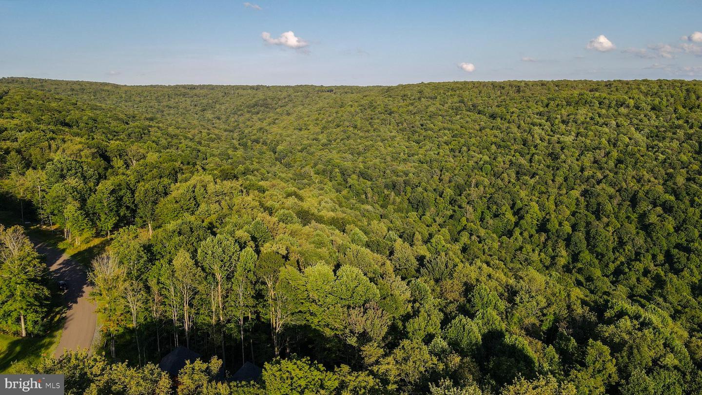 Lot 168 Fork Run Trl Property Photo 18