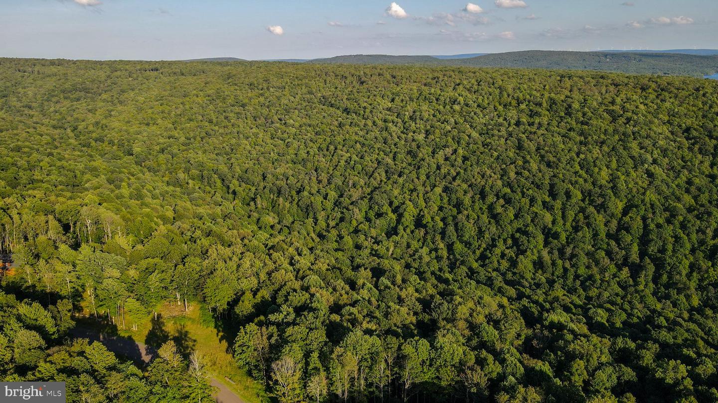 Lot 168 Fork Run Trl Property Photo 19