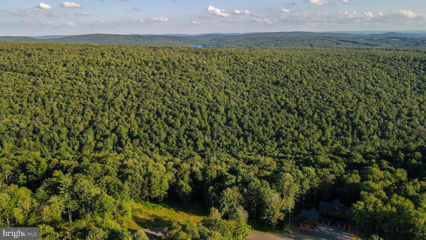 Lot 168 Fork Run Trl Property Photo 22