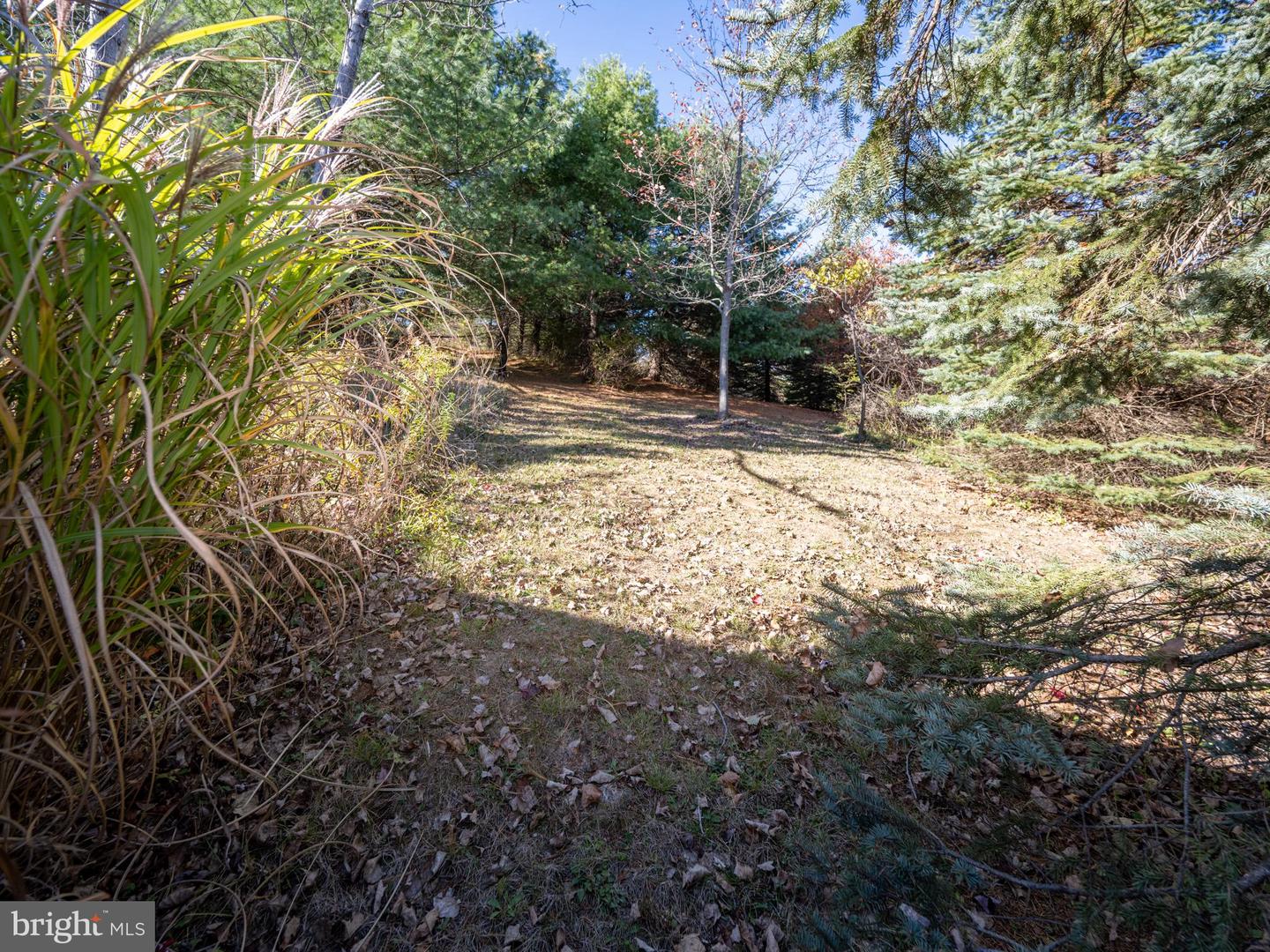 3836 Chestnut Grove Rd Property Photo 12