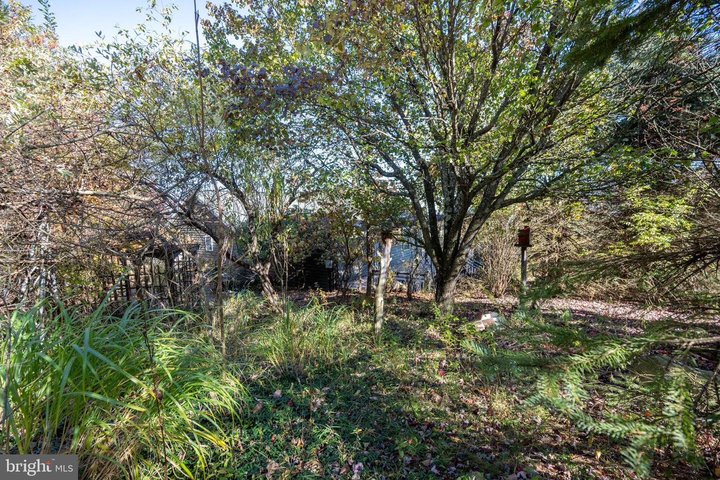 3836 Chestnut Grove Rd Property Photo 13