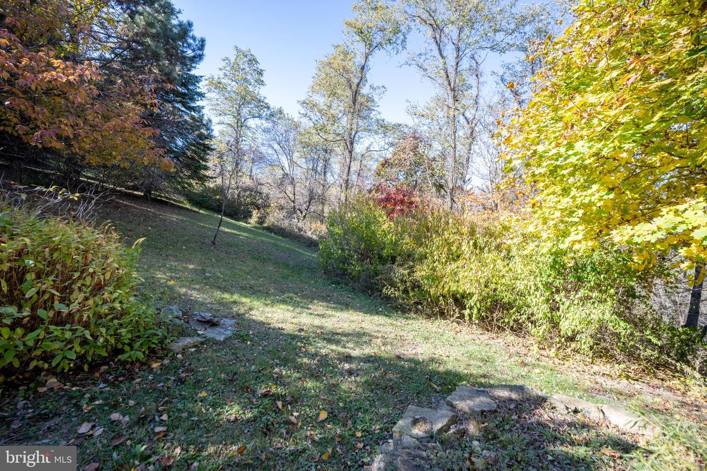 3836 Chestnut Grove Rd Property Photo 23