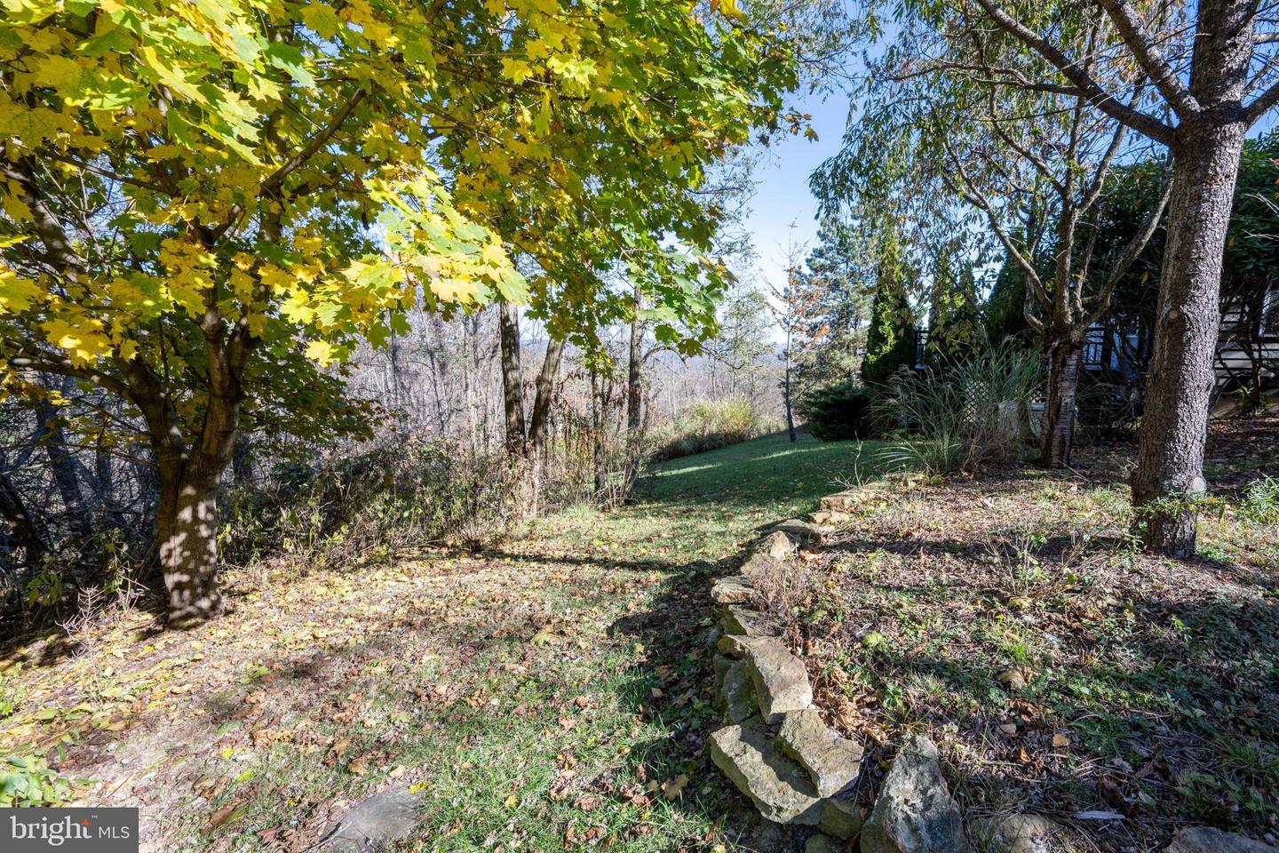 3836 Chestnut Grove Rd Property Photo 24