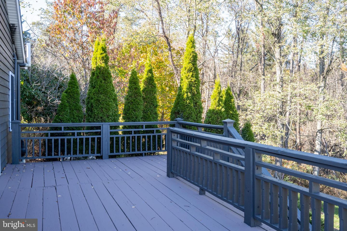 3836 Chestnut Grove Rd Property Photo 30