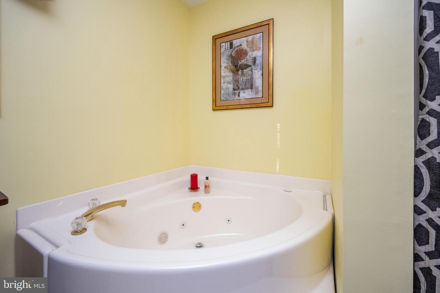 3836 Chestnut Grove Rd Property Photo 80