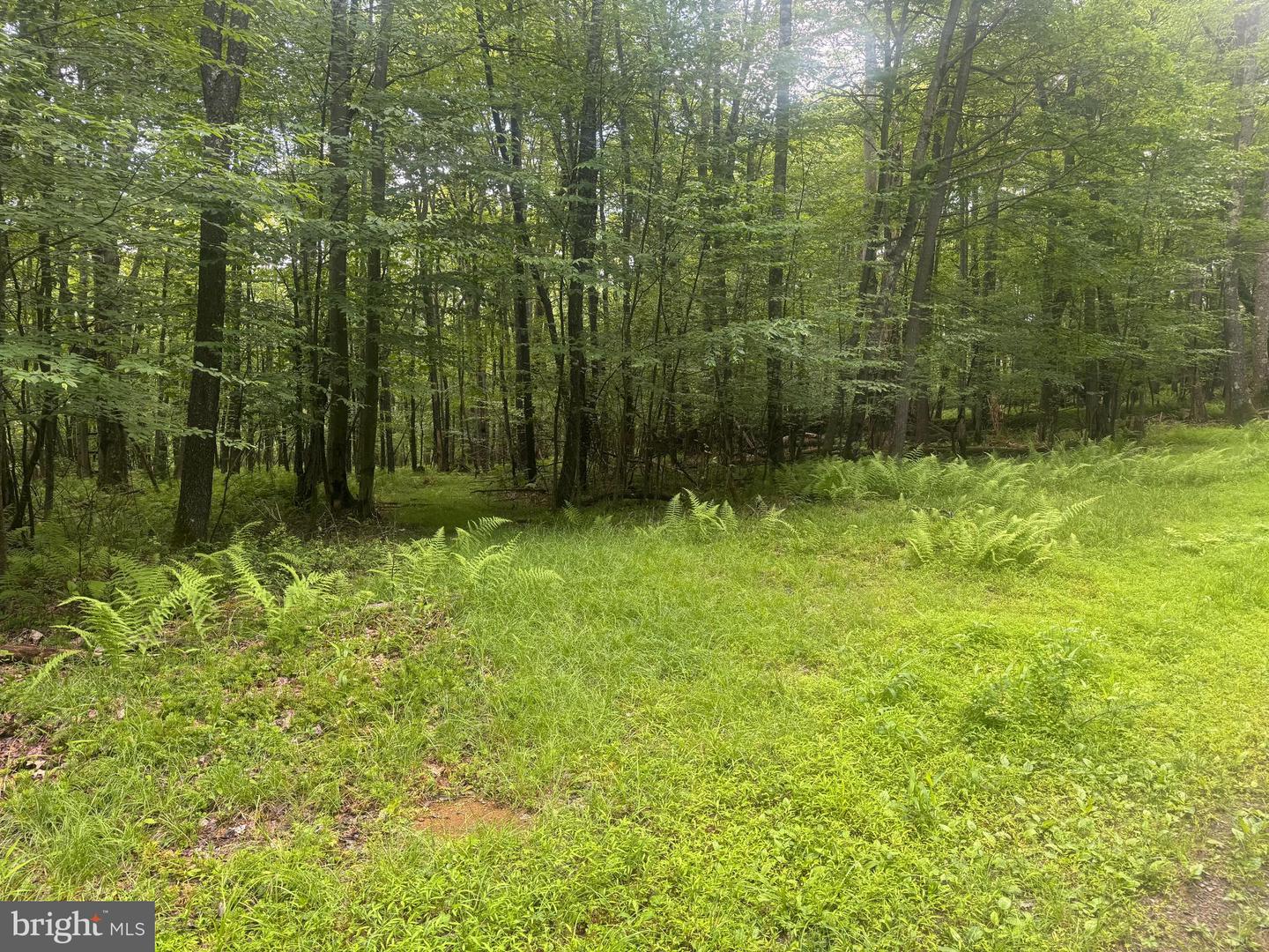Lot 18 Buck Dr Property Photo 1