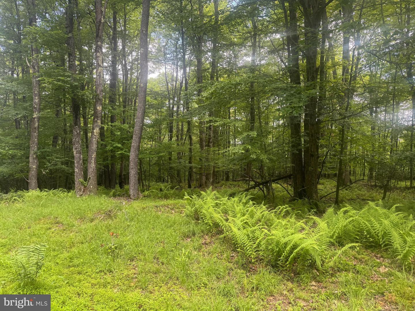 Lot 18 Buck Dr Property Photo 3