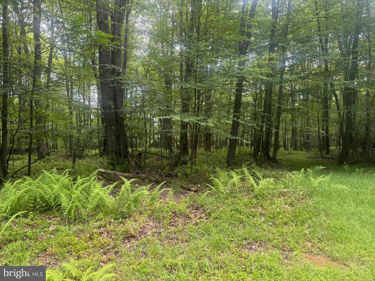 Lot 18 Buck Dr Property Photo 4