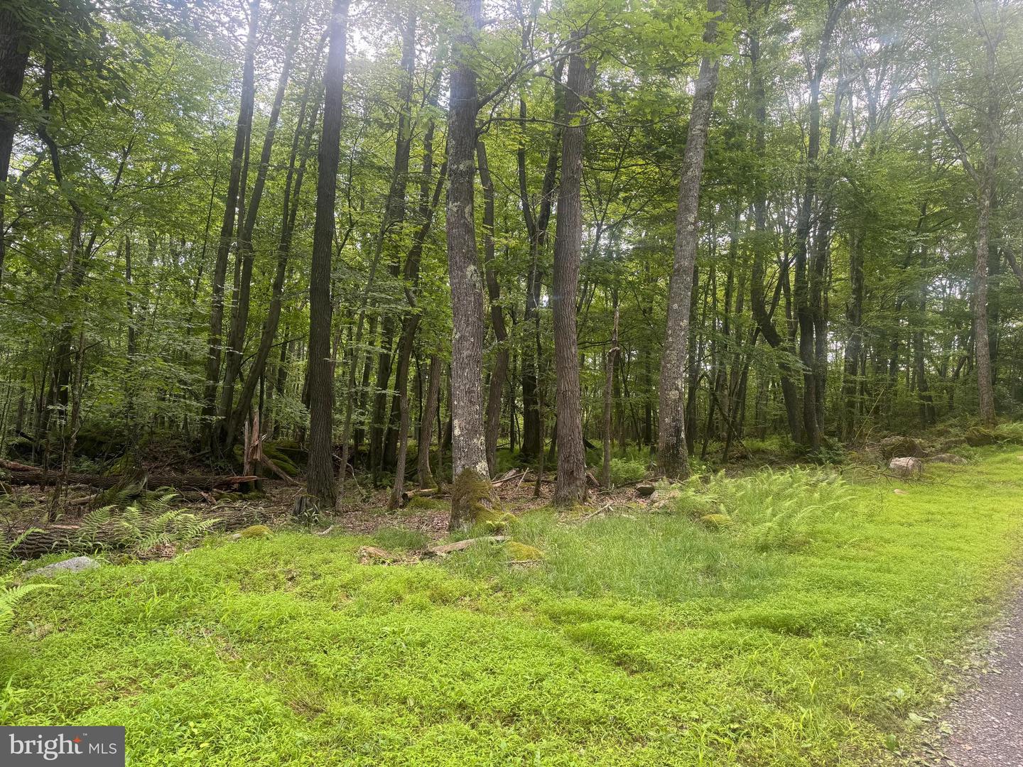 Lot 18 Buck Dr Property Photo 5