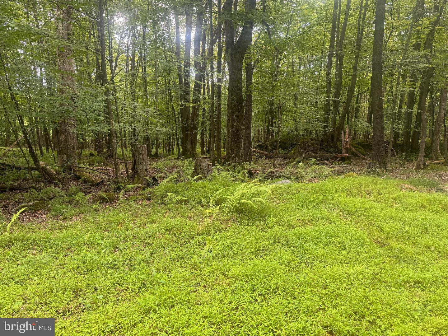 Lot 18 Buck Dr Property Photo 6