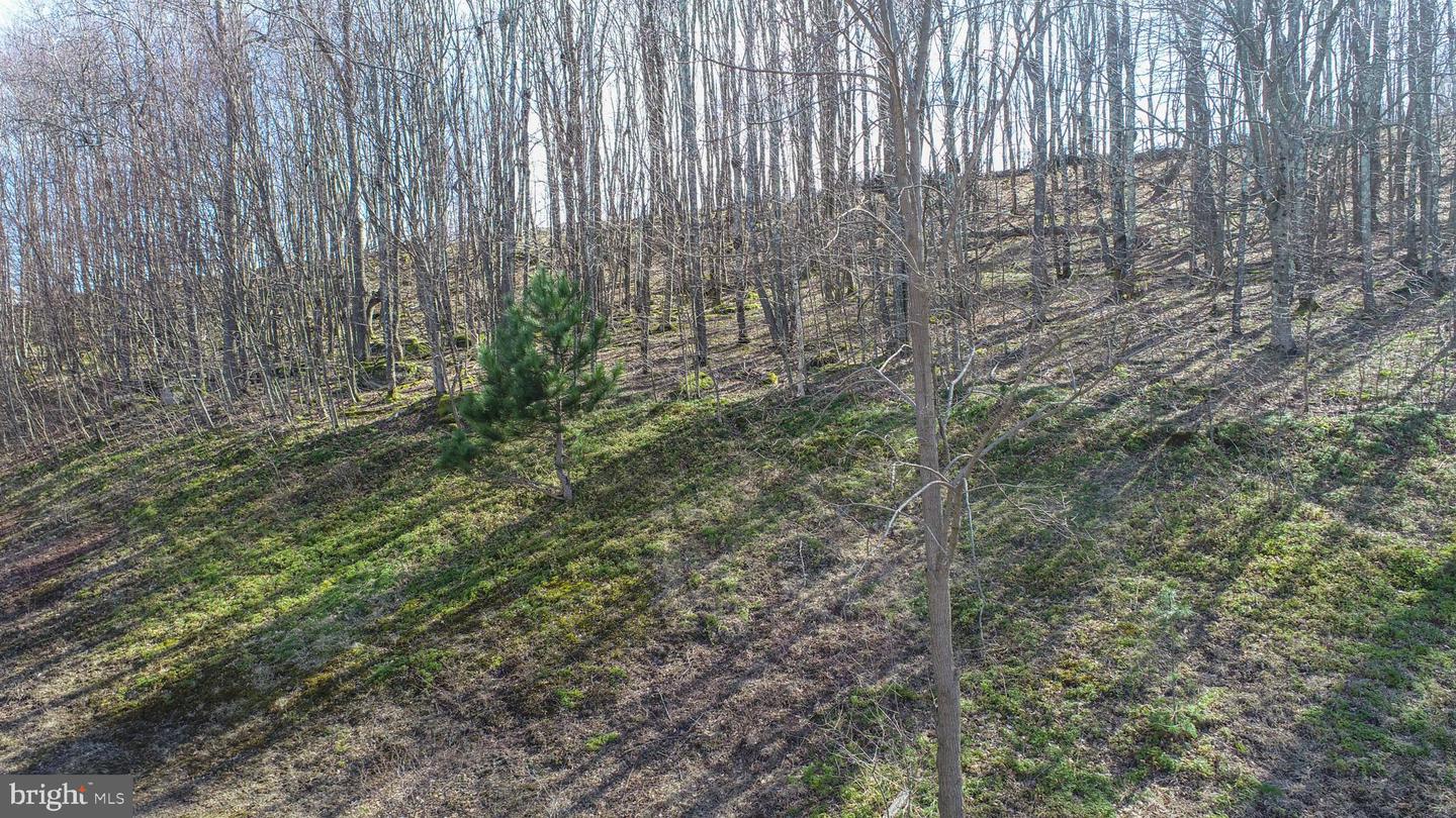 1 Sweet Rewards Farm Rd Property Photo 9