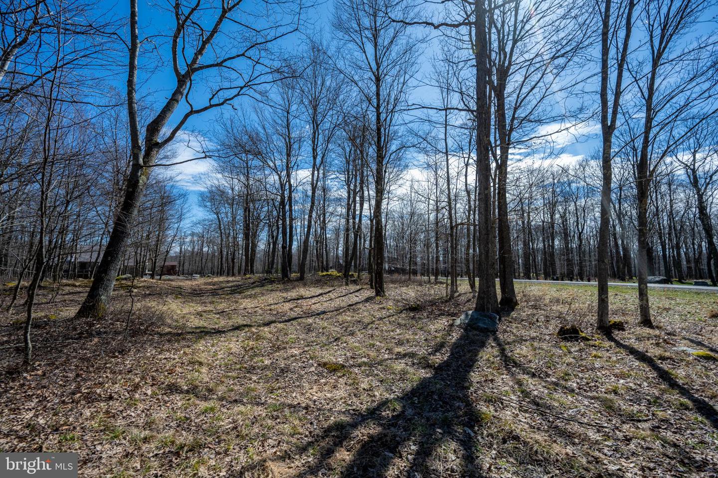 36 Fern Loop Property Photo 12